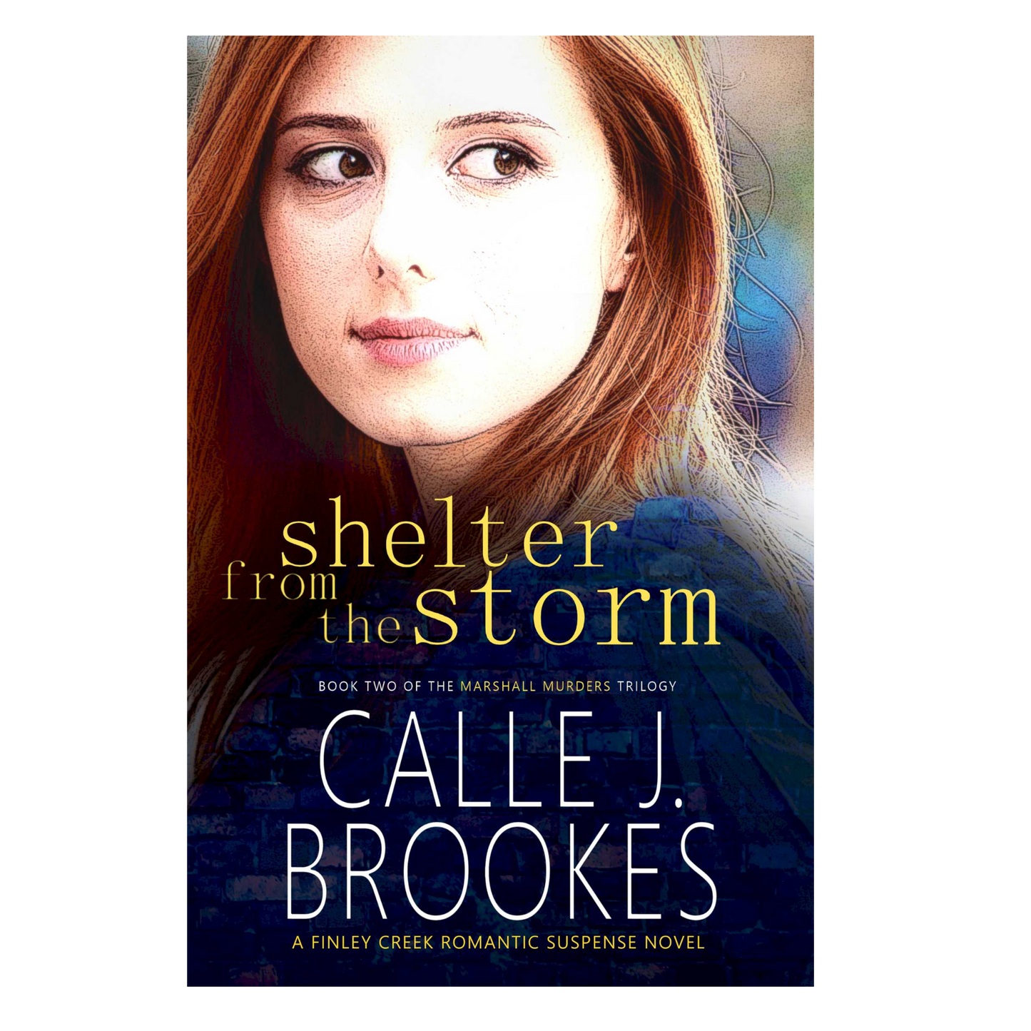 Shelter from the Storm