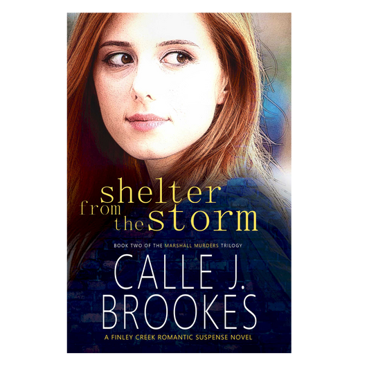 Shelter from the Storm